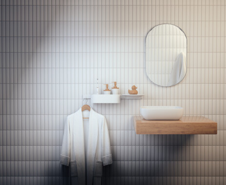 Скребок WallStoris Hansgrohe 27916700