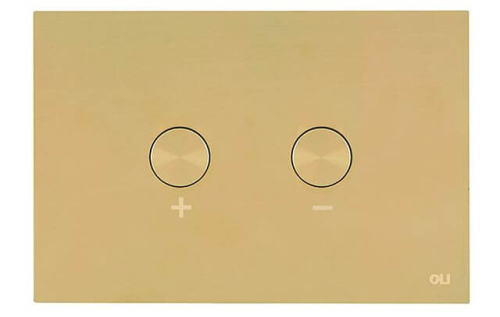 Кнопка смыва антивандальная Blink OLI 878781