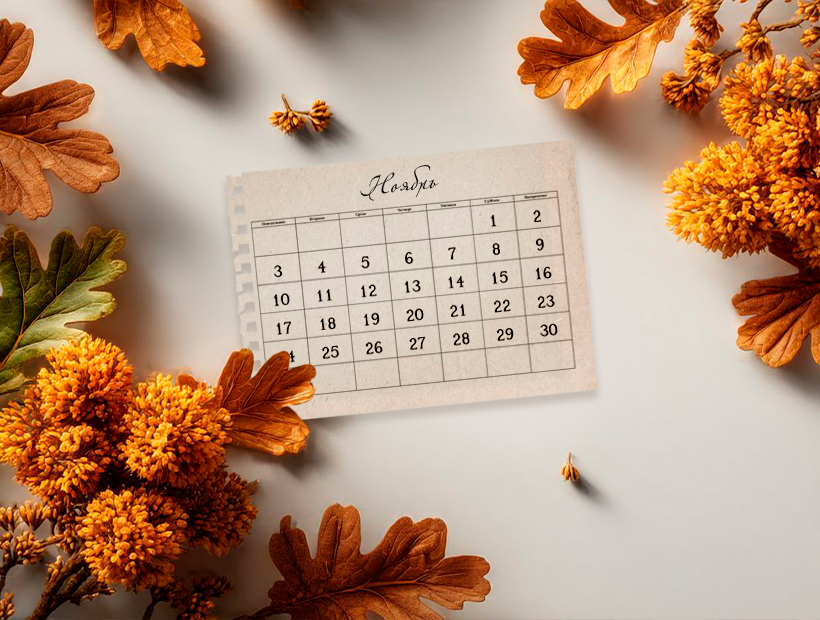 График работы компании «Аквамир» в ноябре 2025 года График работы компании «Аквамир» в ноябре 2025 года