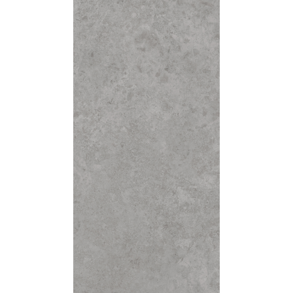 Керамогранит AVS by Italian Design Antica Grey 60x120 Lappato