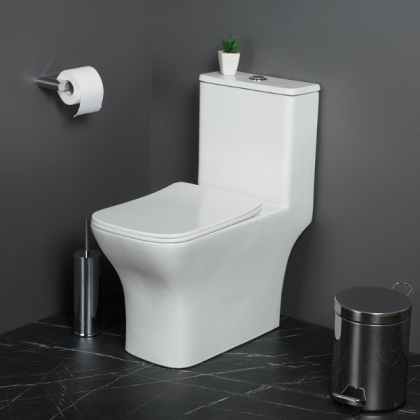 Унитаз-моноблок BelBagno Neon BB8617CPR-MN/SC безободковый с микролифтом