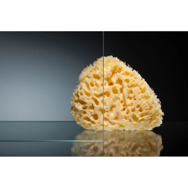 ZA -F 100*90 08 01 Душ огр-е 100х90см хром/прозр + антикалькVEGAS