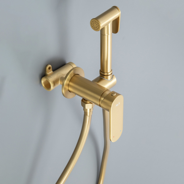 Гигиенический душ со смесителем AVS Beauty брашированное золото
